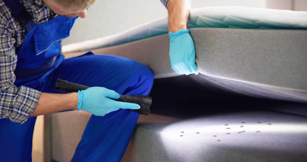 Best Termite Control Services  in Westfield, PA